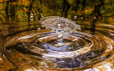 Une maison durable avec un système de récupération d’eau de pluie