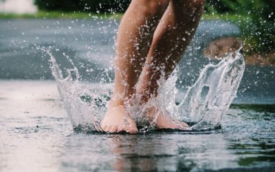 La récupération d’eau de pluie pour une maison de demain