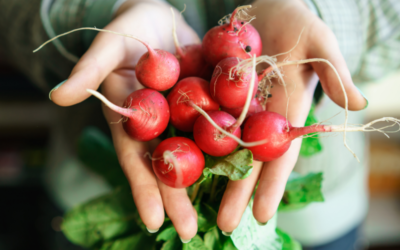 Le printemps au jardin : Plantations & Eau de pluie