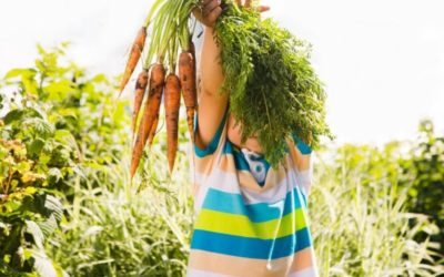 L’apprentissage au jardin : les activités pour les enfants