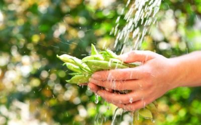 Comment réduire sa consommation d’eau ?
