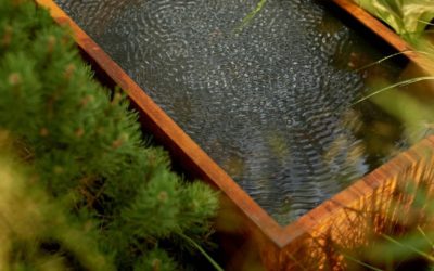 Récupération d’eau de pluie dans une maison existante : les solutions