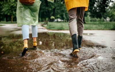 Règlementation des citernes d’eau de pluie : un pas de plus pour la Flandre