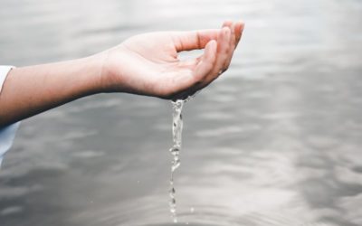 Le nettoyage de votre citerne d’eau de pluie pour assurer la pureté de votre eau !